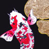 2015  -  Koi fish with gold leaf, acrylic on canvas 16X20